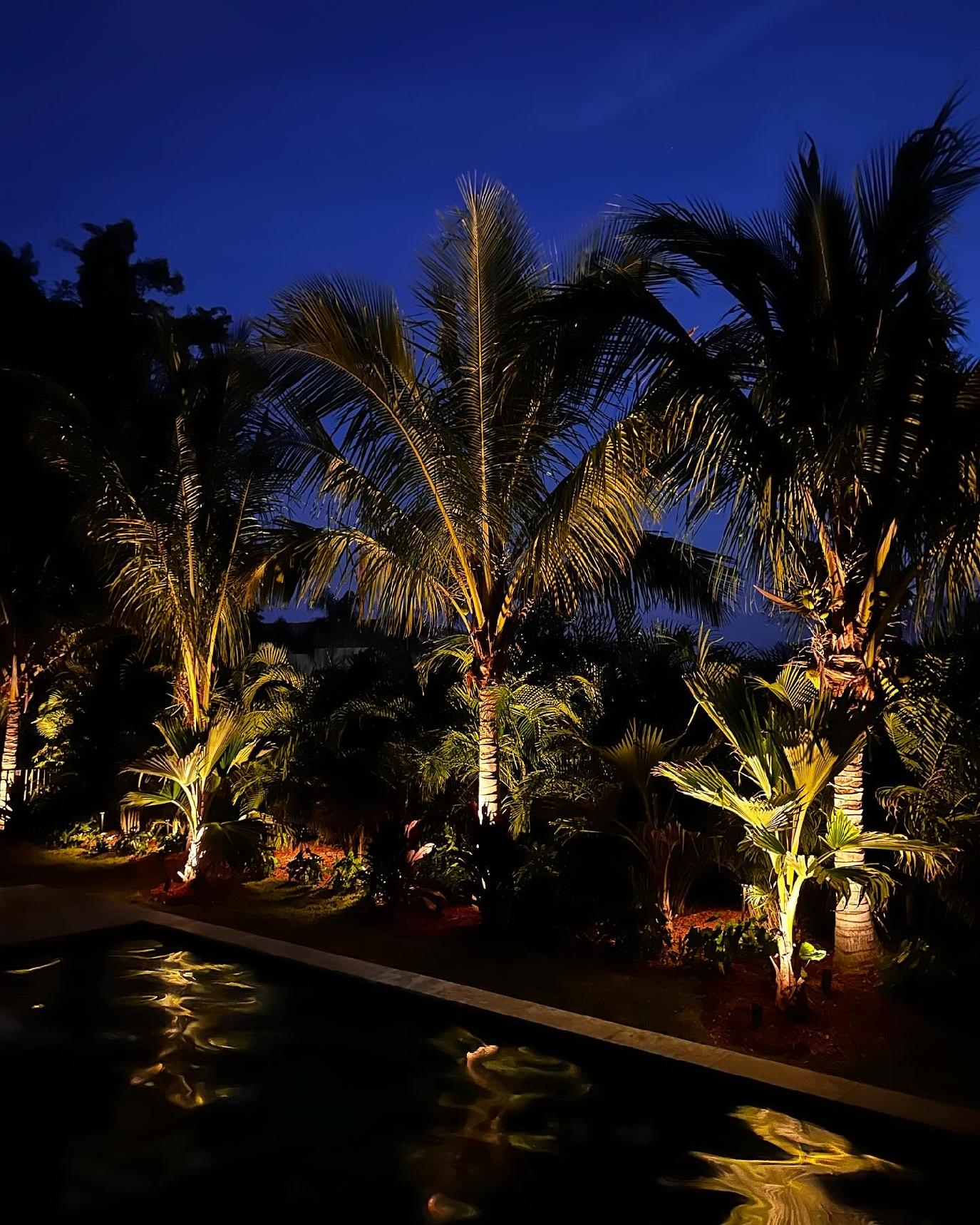 AC991AB5-C4F3-473F-BB26-453E588226A8